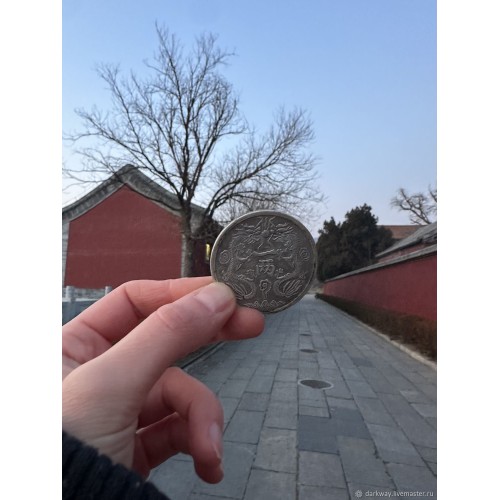 Деньги: Денежная монета