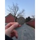 Деньги: Денежная монета