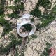 Нервы и саморегуляция: Амулет Равновесия