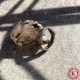 Помощь в делах: Амулет Покровитель