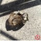 Помощь в делах: Амулет Покровитель