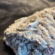 Саморазвитие и осознание: Амулет Коварный Змей