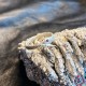 Саморазвитие и осознание: Амулет Коварный Змей