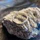 Саморазвитие и осознание: Амулет Коварный Змей