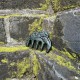 Здоровье: Гребень Здоровье из тайшаньского нефрита