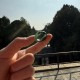 Здоровье и силы: Кольцо из тайшаньского нефрита