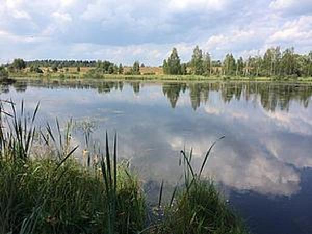 Любая весть изначально благая
