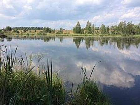 Любая весть изначально благая