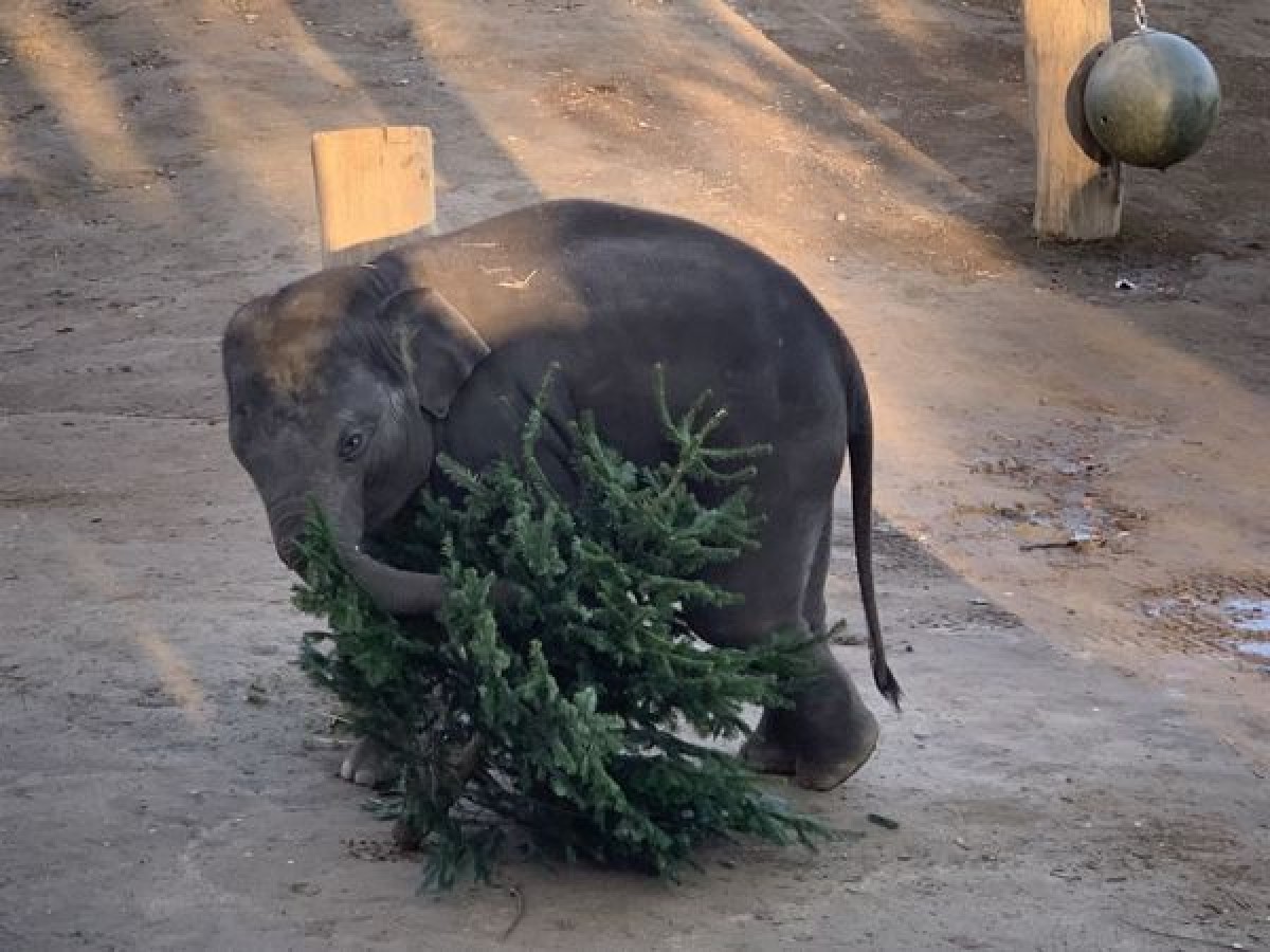 С Новым годом!