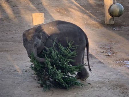 С Новым годом!