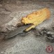 Атам «Дракон»
