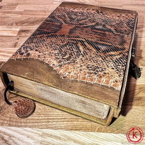 Инструменты для практики: Книга Питон