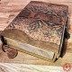 Инструменты для практики: Книга Питон