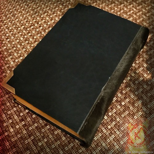 Книга Верховная Жрица